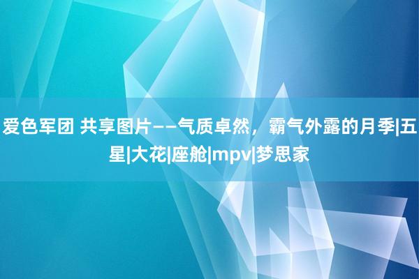 爱色军团 共享图片——气质卓然，霸气外露的月季|五星|大花|座舱|mpv|梦思家